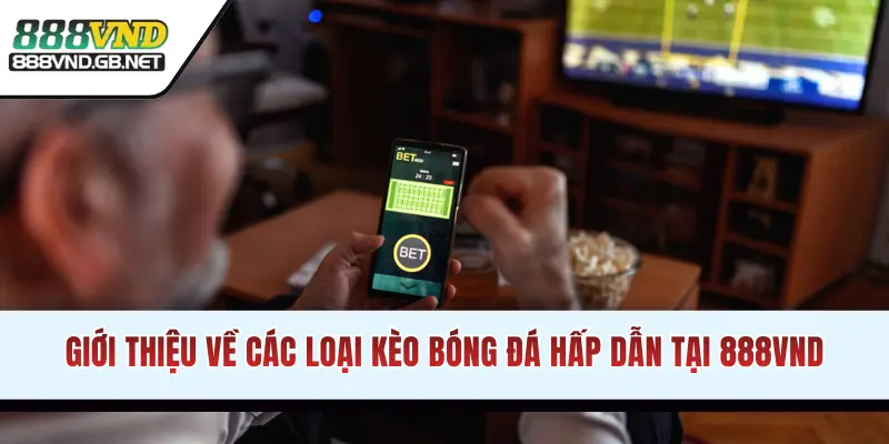 Giới thiệu về các loại kèo bóng đá hấp dẫn 2026