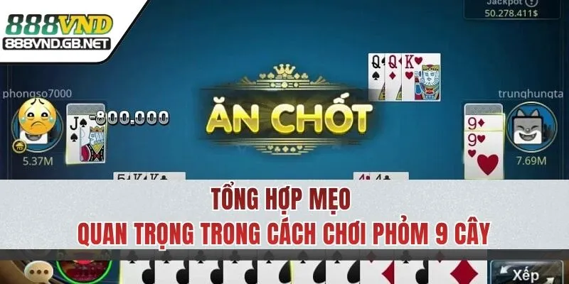 Mẹo nâng cao cơ hội thắng trong cách chơi Phỏm