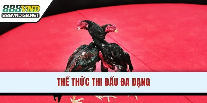 Thể thức thi đấu đa dạng