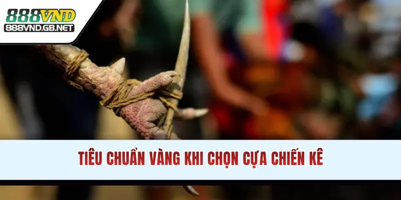Tiêu chuẩn vàng khi chọn cựa chiến kê